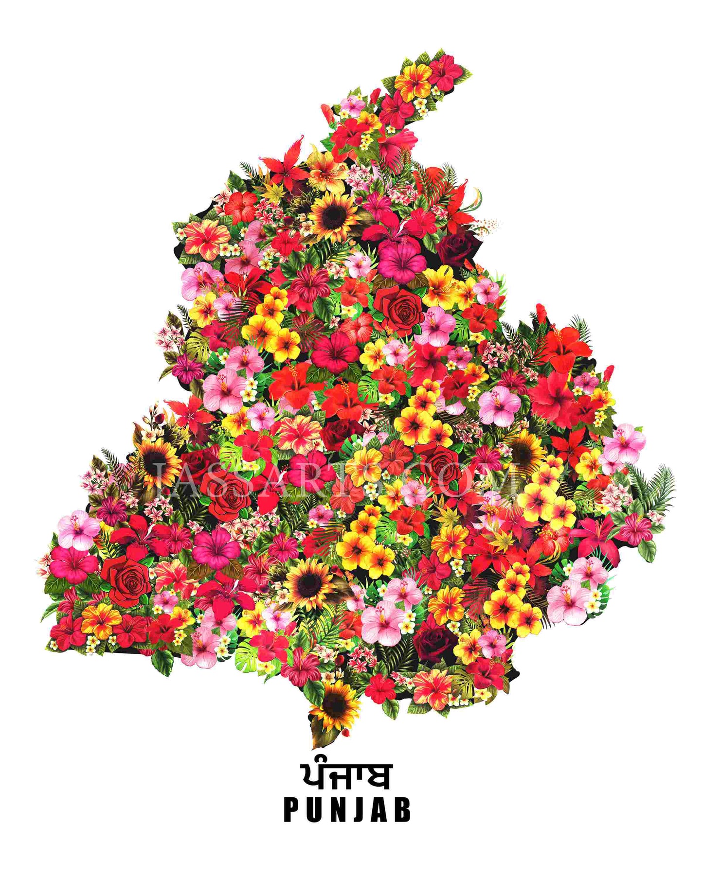 PUNJAB MAP